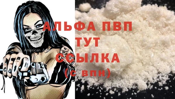 сатива Елизово