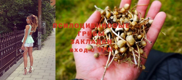 прущая мука Абинск