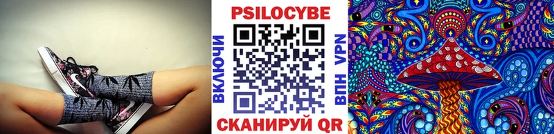 Галлюциногенные грибы Psilocybe  Кораблино 